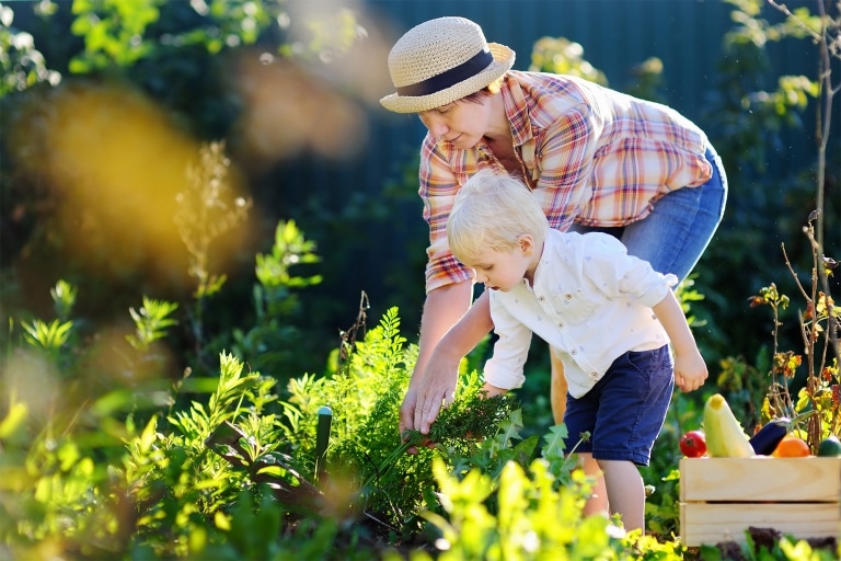 Mit Kindern Gemüse anpflanzen in Ihrem Hochbeet vom Villacher Saubermacher